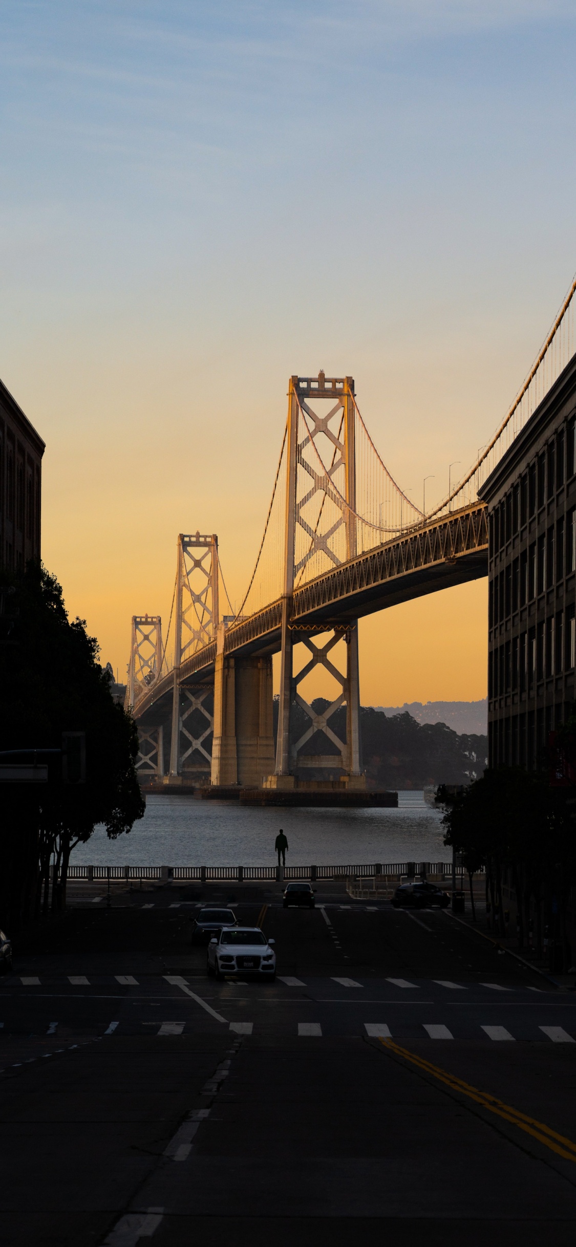 San Francisco Oakland Bay Bridge, Cloud, Infrastructure, Cars, Tree. Wallpaper in 1125x2436 Resolution