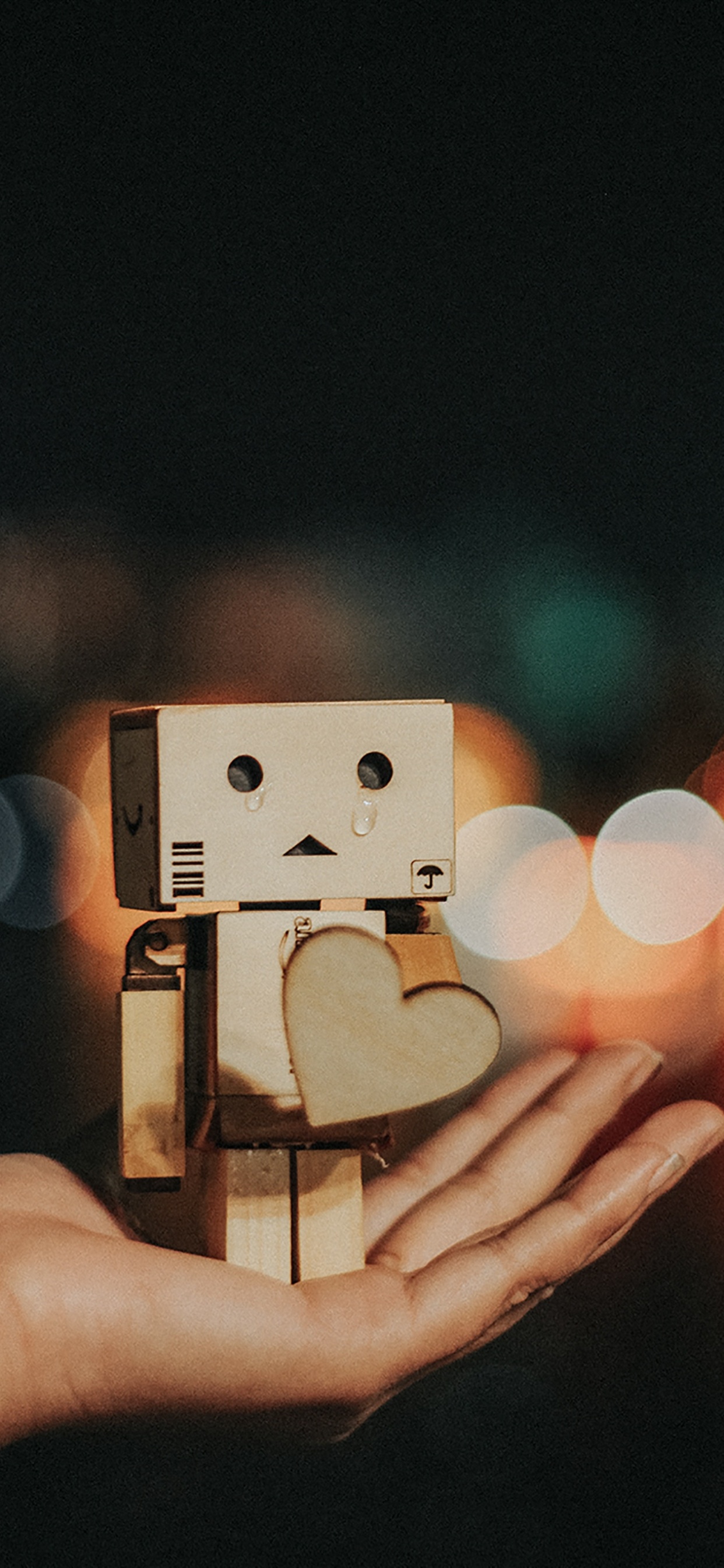 Luz, Dedo, Mano, Danbo, Sonrisa. Wallpaper in 1242x2688 Resolution