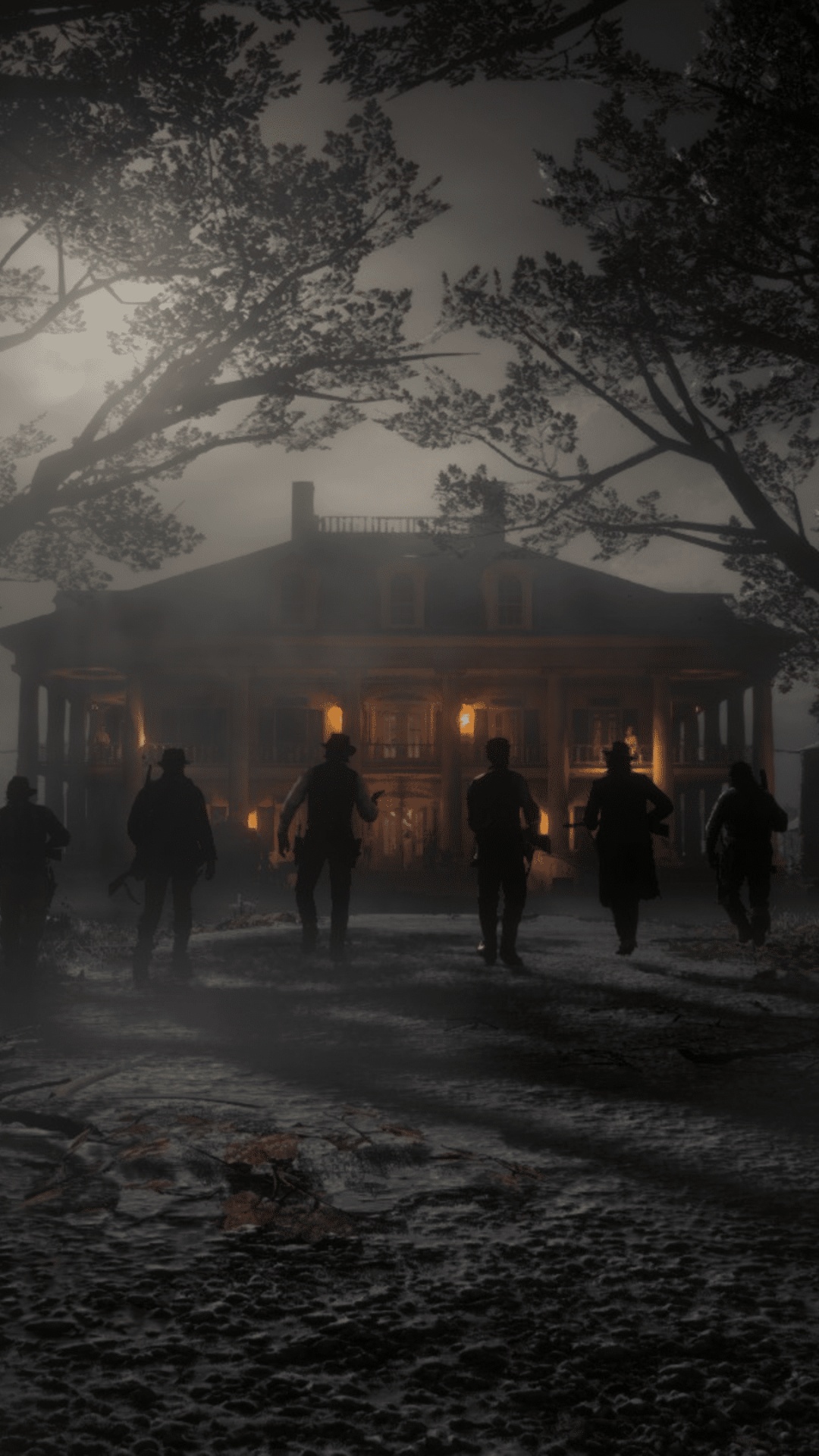 Red Dead Redemption 2, Mission, Obscurité, Sciences, Chimie. Wallpaper in 1080x1920 Resolution