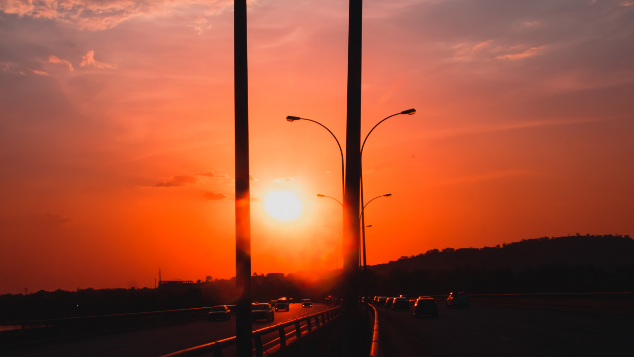 Silhouette D'arbres au Coucher du Soleil. Wallpaper in 1280x720 Resolution