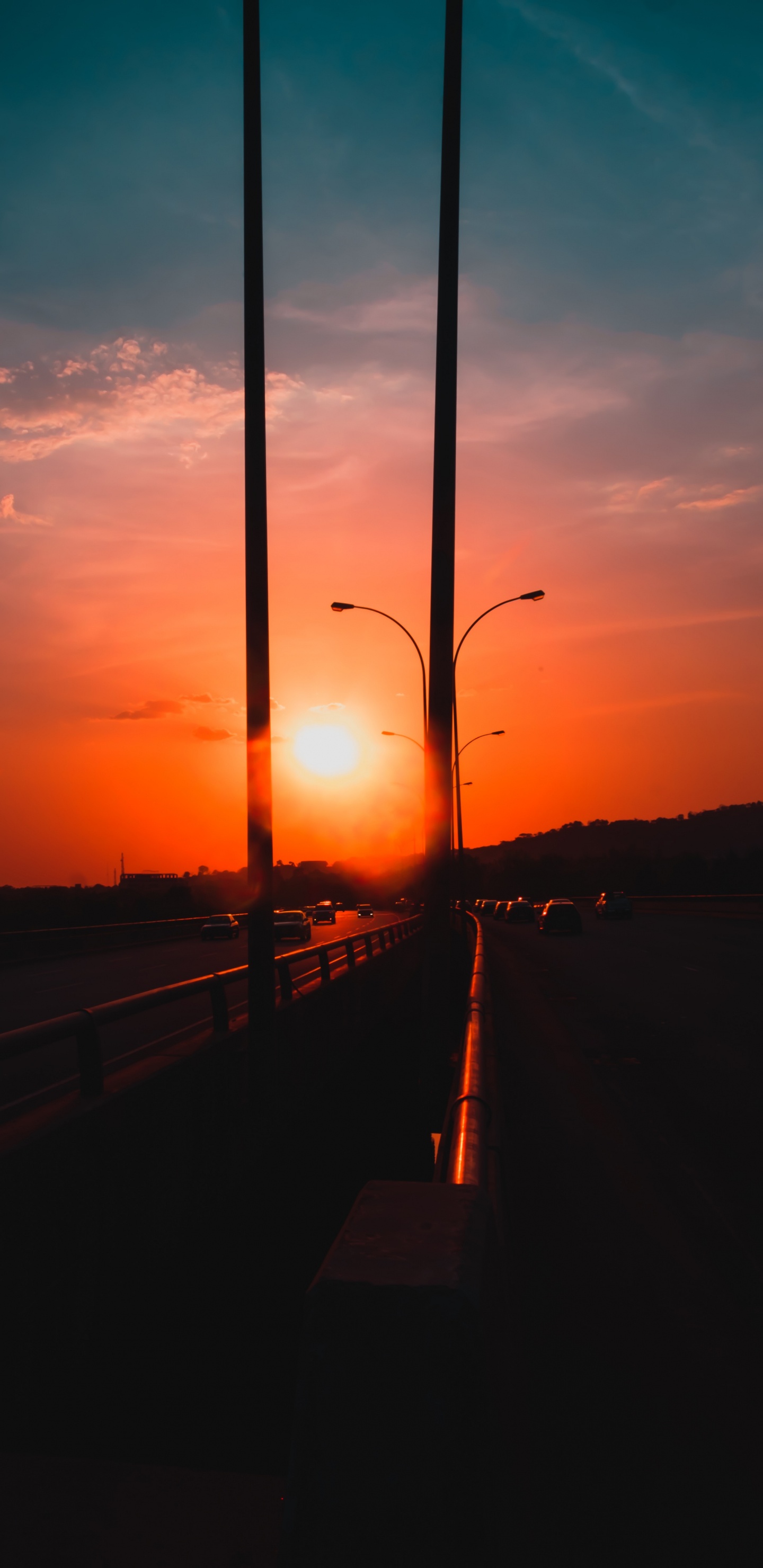 Silhouette D'arbres au Coucher du Soleil. Wallpaper in 1440x2960 Resolution