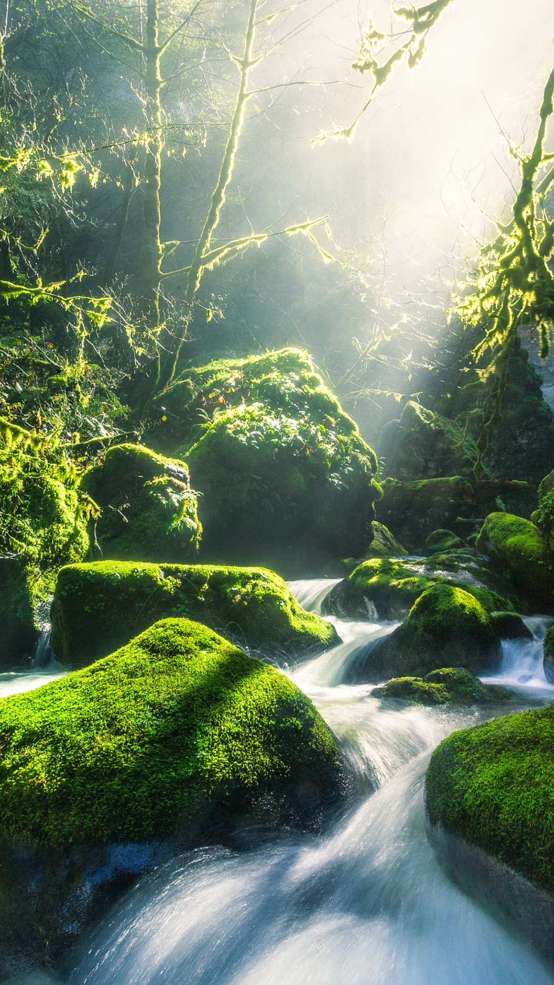 Happy Birthday Waterfall, Multnomah Falls, Columbia River, Waterfall, Water. Wallpaper in 1080x1920 Resolution