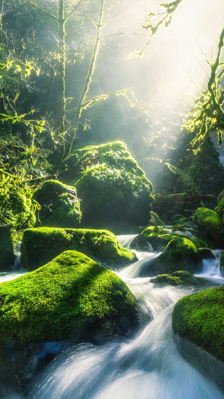 Happy Birthday Waterfall, Multnomah Falls, Columbia River, Waterfall, Water. Wallpaper in 720x1280 Resolution