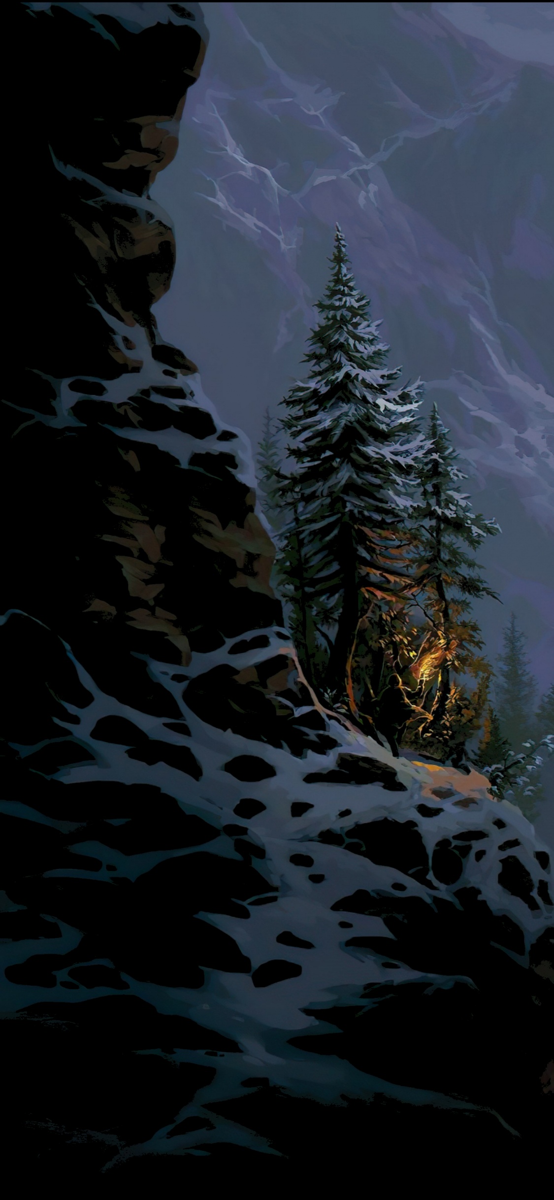 Natur, Wissenschaft, Biologie, Schnee, Branch. Wallpaper in 1125x2436 Resolution