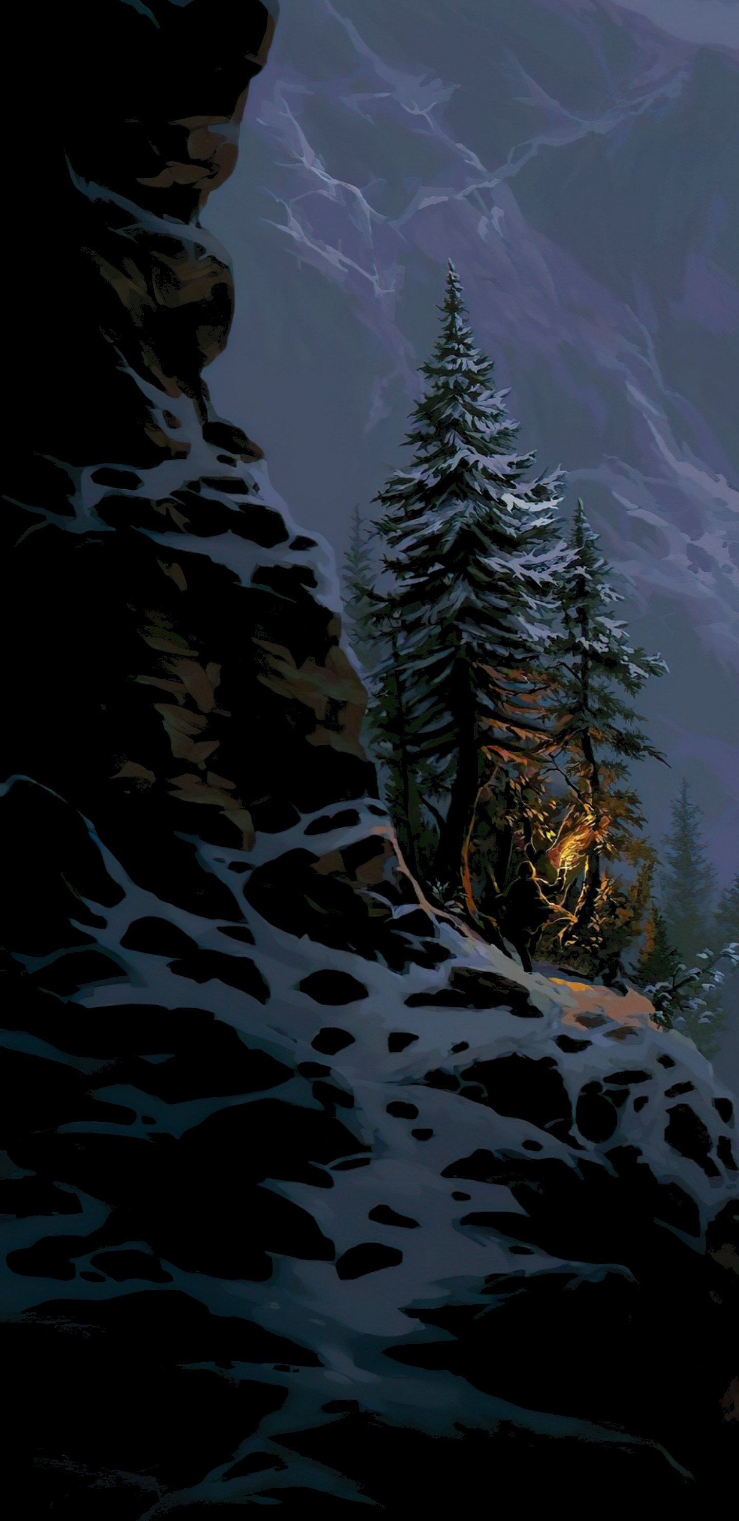 Natur, Wissenschaft, Biologie, Schnee, Branch. Wallpaper in 1440x2960 Resolution