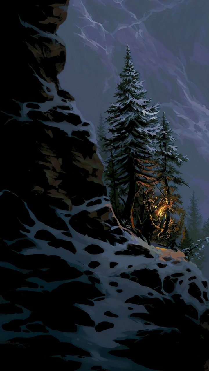 Nature, Sciences, Biologie, Neige, Mélèze. Wallpaper in 720x1280 Resolution