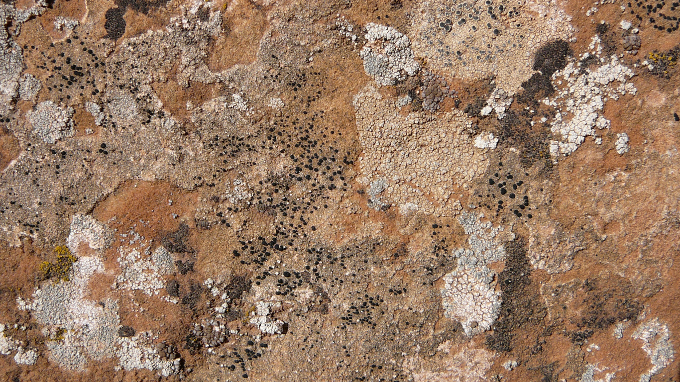 Piso de Concreto Marrón y Negro. Wallpaper in 1366x768 Resolution