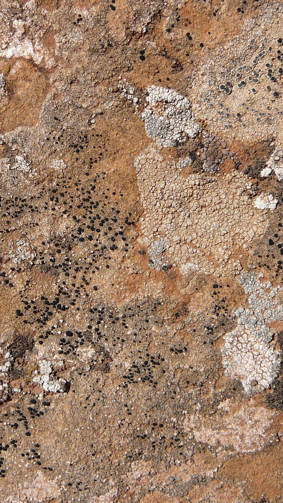 Brown and Black Concrete Floor. Wallpaper in 1080x1920 Resolution