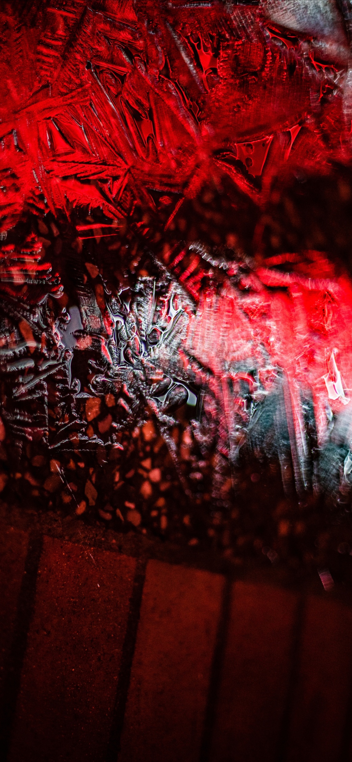 Graphics, Red, Tree, Art, Plant. Wallpaper in 1125x2436 Resolution