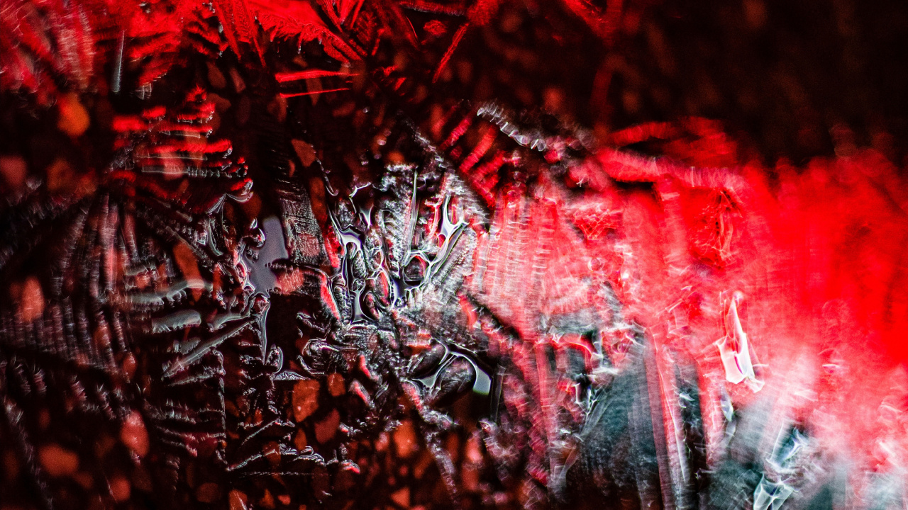 Graphics, Red, Tree, Art, Plant. Wallpaper in 1280x720 Resolution