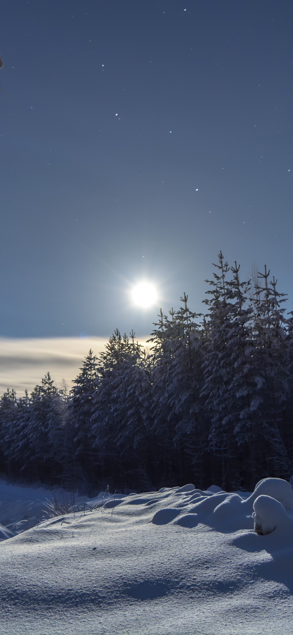 Snow Covered Field and Trees During Daytime. Wallpaper in 1125x2436 Resolution