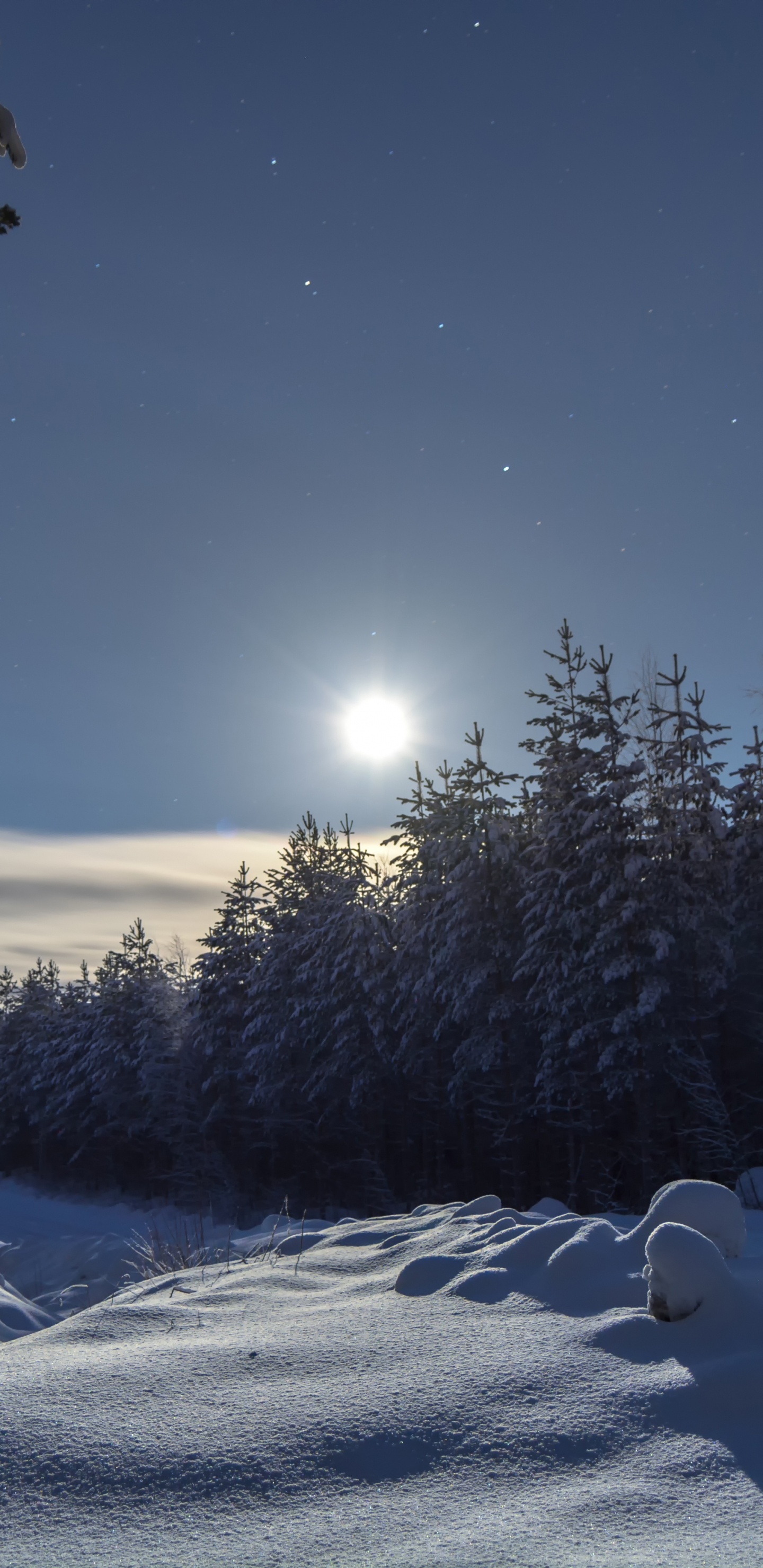 Snow Covered Field and Trees During Daytime. Wallpaper in 1440x2960 Resolution