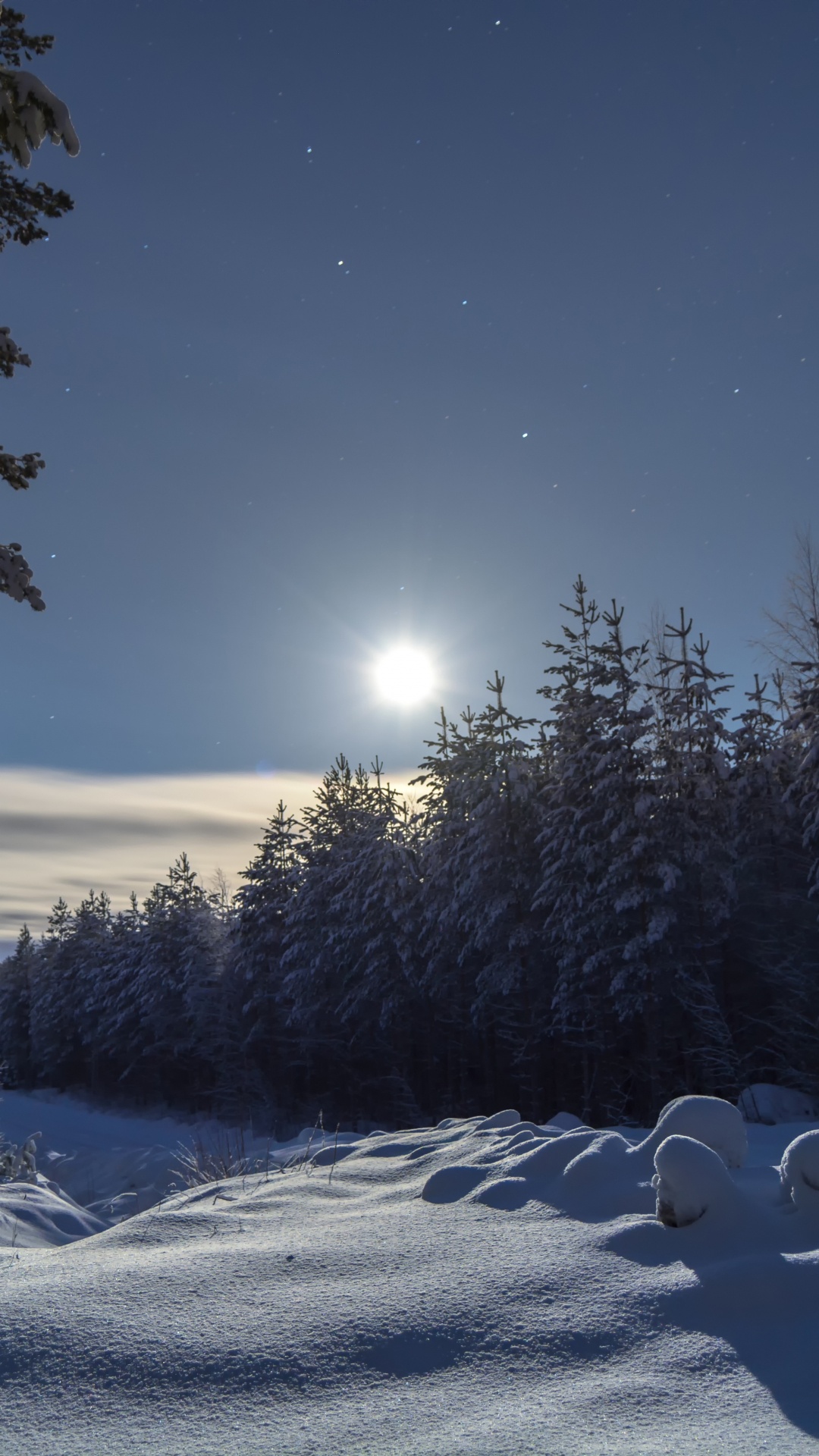 冬天, 性质, 冻结, 月光, 气氛 壁纸 1080x1920 允许