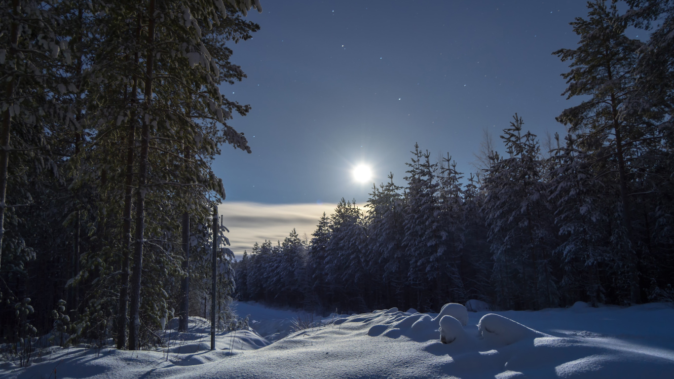 冬天, 性质, 冻结, 月光, 气氛 壁纸 1366x768 允许