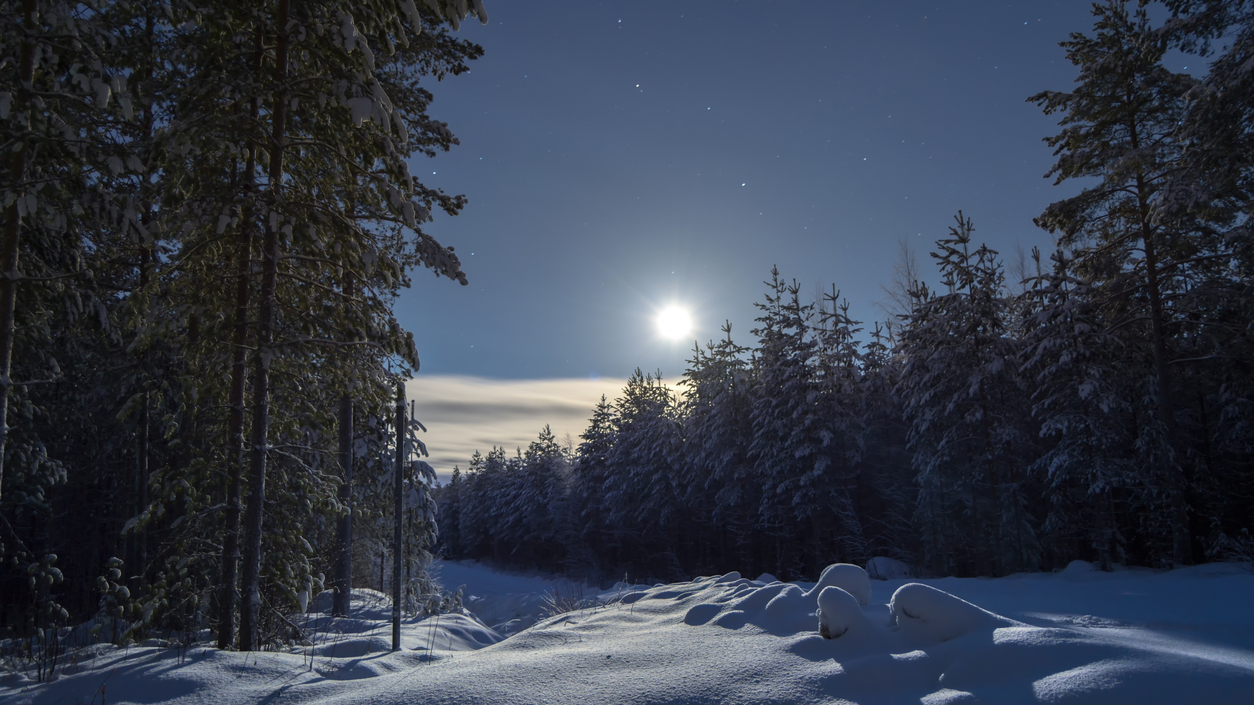 冬天, 性质, 冻结, 月光, 气氛 壁纸 2560x1440 允许