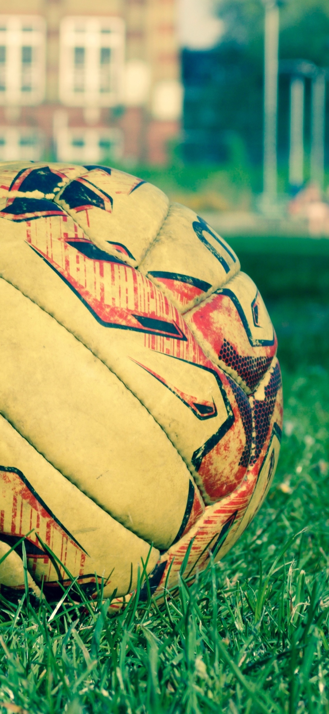 Brown and Black Soccer Ball on Green Grass Field During Daytime. Wallpaper in 1125x2436 Resolution