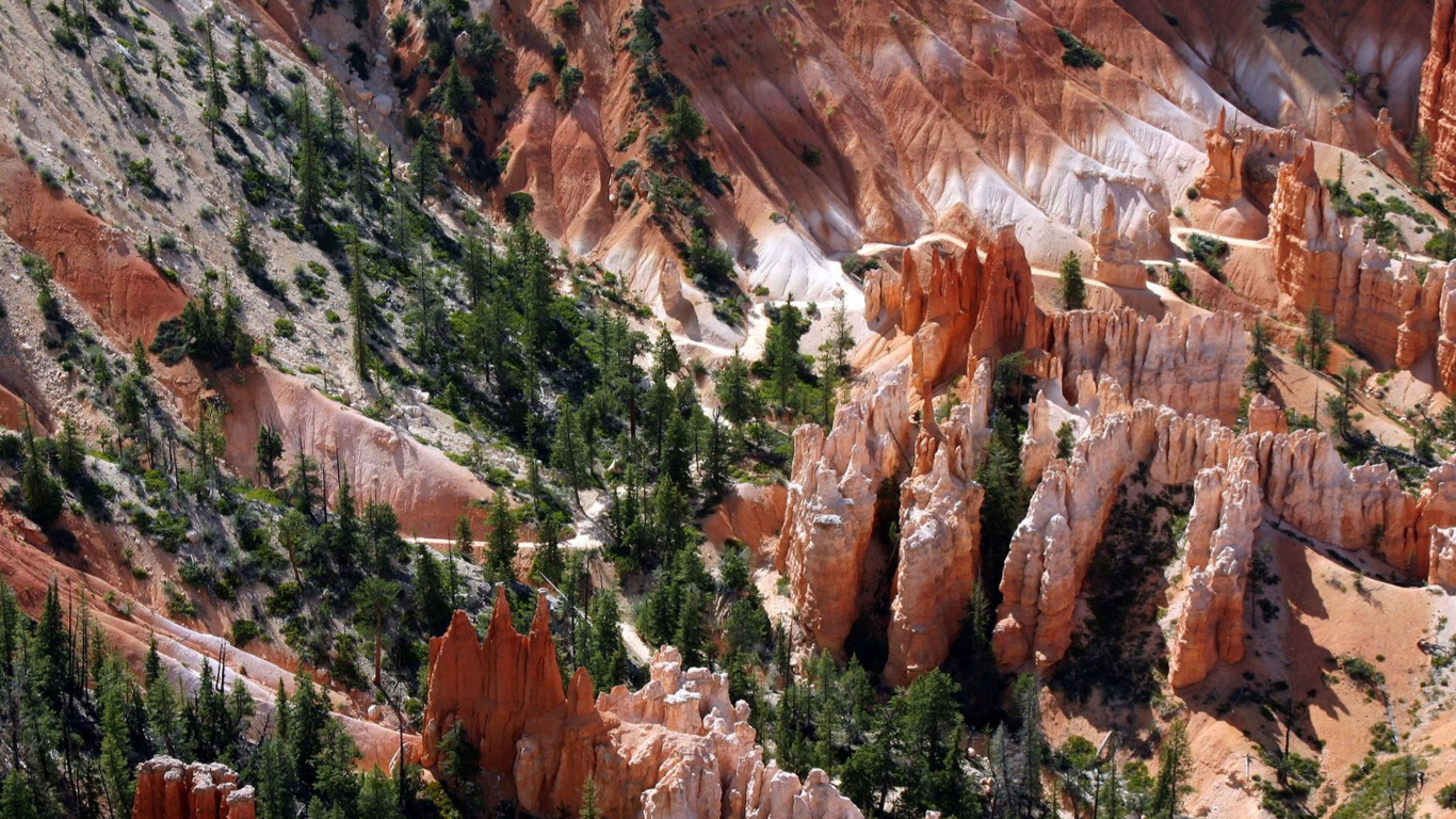 Brown and Green Trees on Brown Rocky Mountain During Daytime. Wallpaper in 1366x768 Resolution