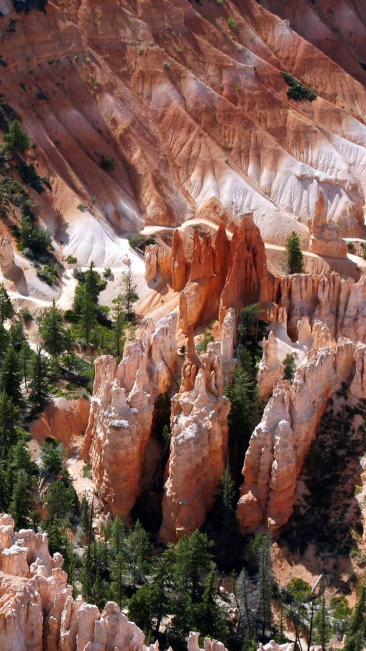 Brown and Green Trees on Brown Rocky Mountain During Daytime. Wallpaper in 750x1334 Resolution