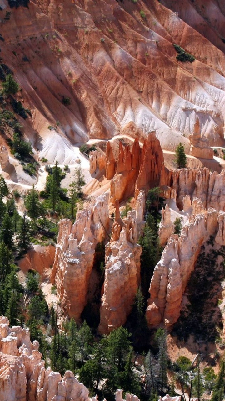 Braune Und Grüne Bäume Auf Braunem Felsigem Berg Tagsüber. Wallpaper in 720x1280 Resolution