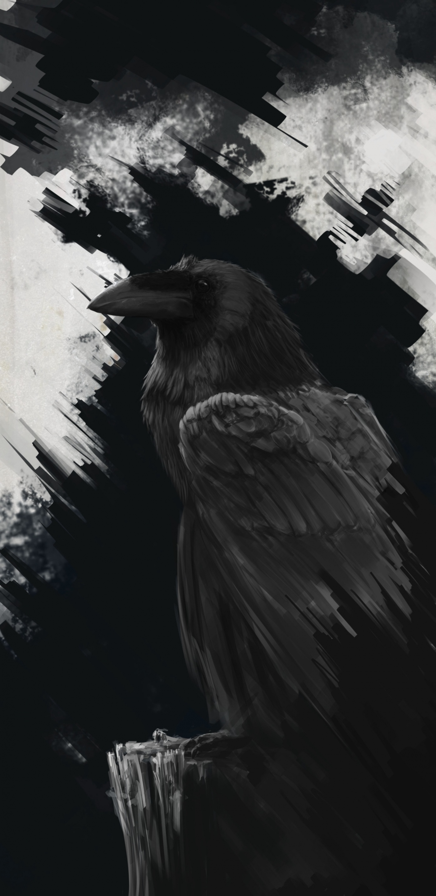 Black Bird on Tree Branch Painting. Wallpaper in 1440x2960 Resolution