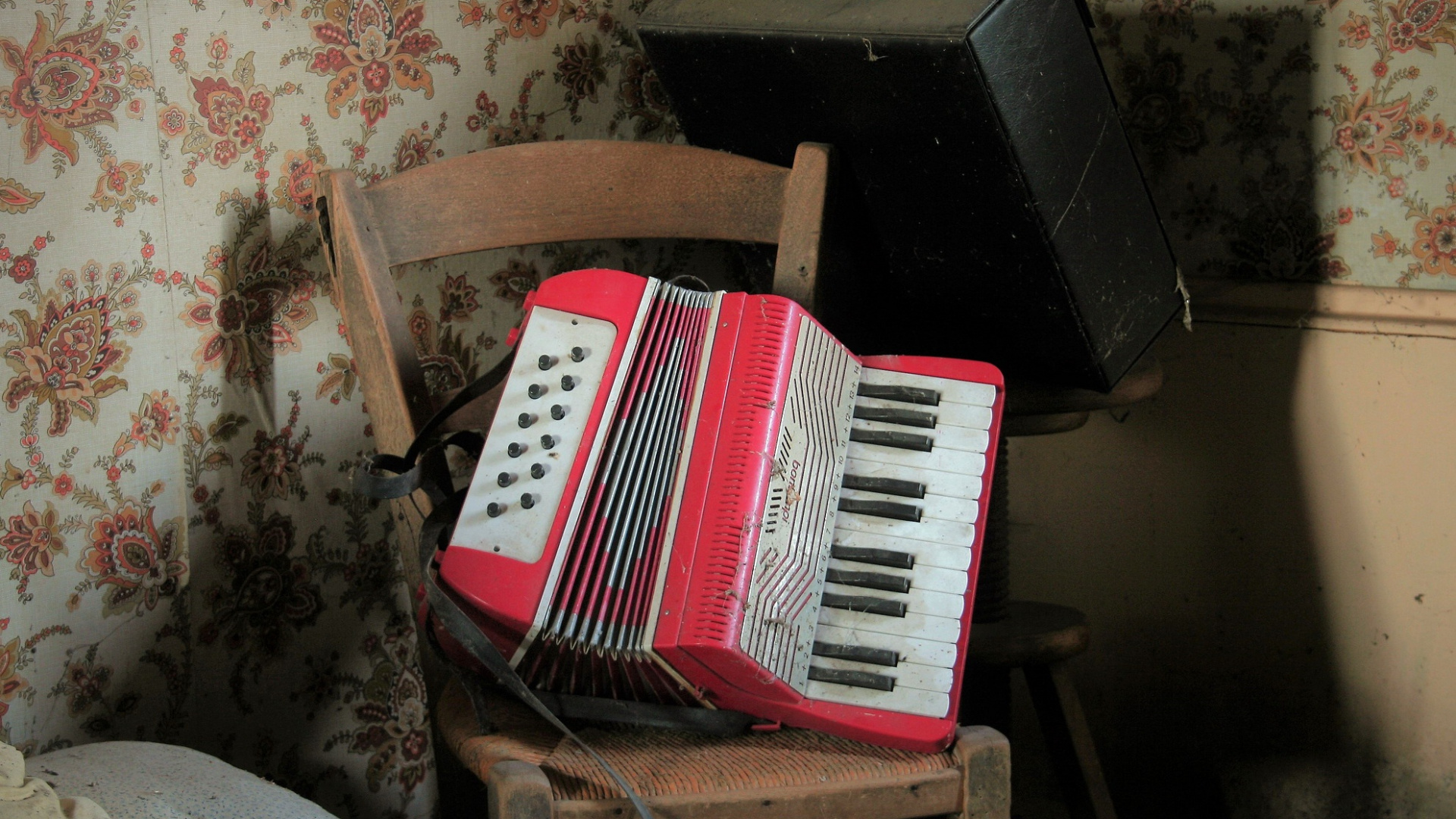 Accordionist, Accordion, Piano, Violin, Musical Instrument. Wallpaper in 1920x1080 Resolution