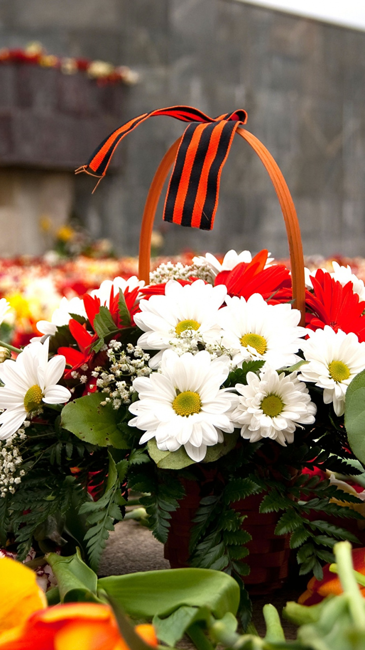 El Día De La Victoria, 9 de Mayo, Floristry, Primavera, Diseño Floral. Wallpaper in 750x1334 Resolution