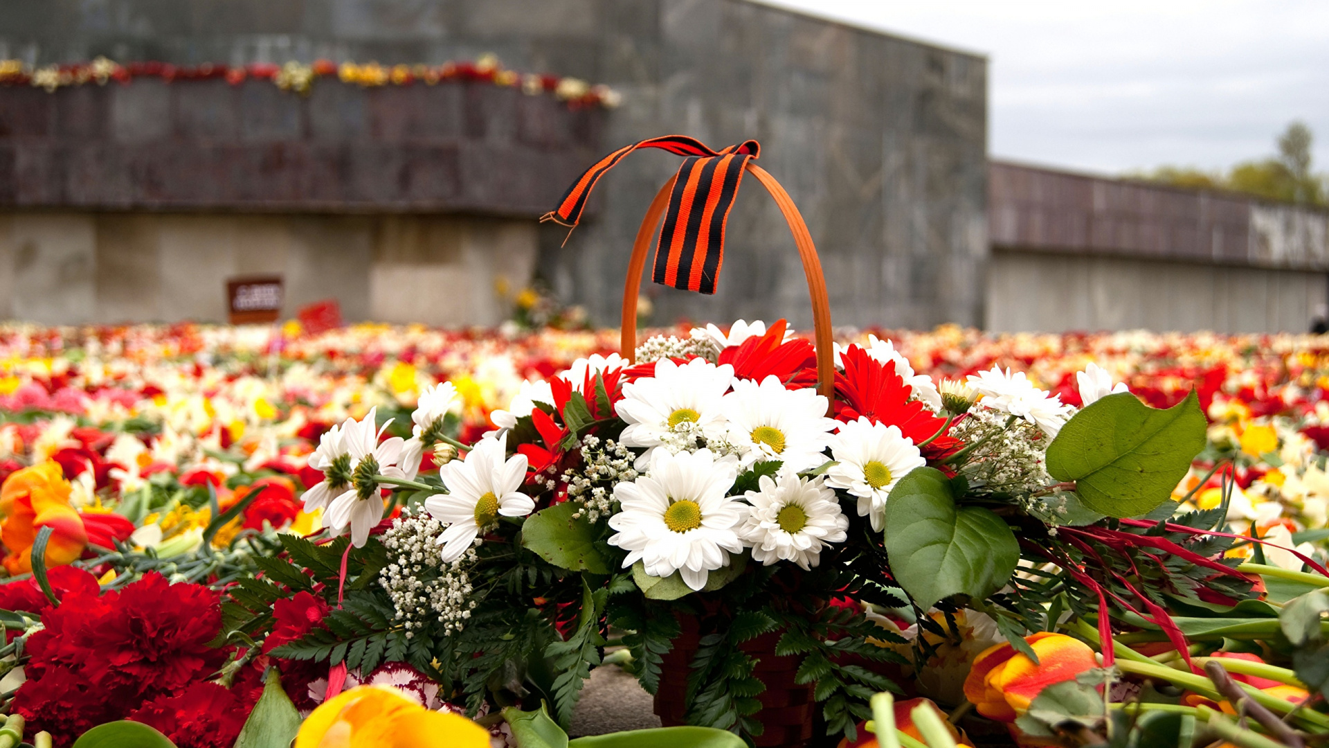 Le Jour De La Victoire, 9 Mai, Fleuriste, Printemps, Design Floral. Wallpaper in 1920x1080 Resolution