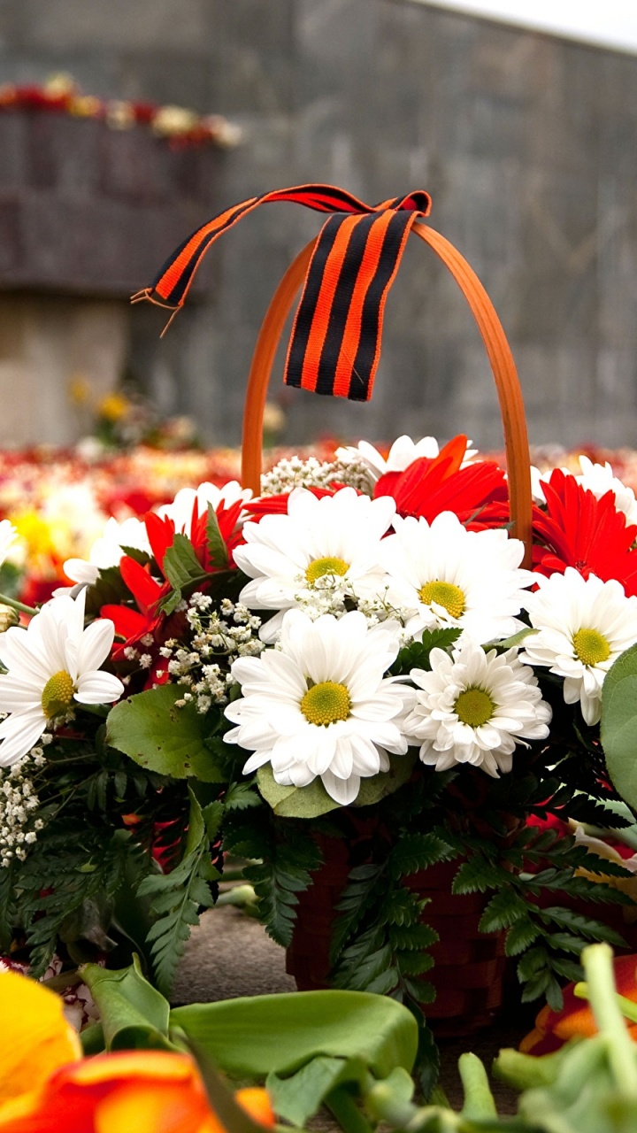 Victory Day, May 9, Flower, Floristry, Plant. Wallpaper in 720x1280 Resolution
