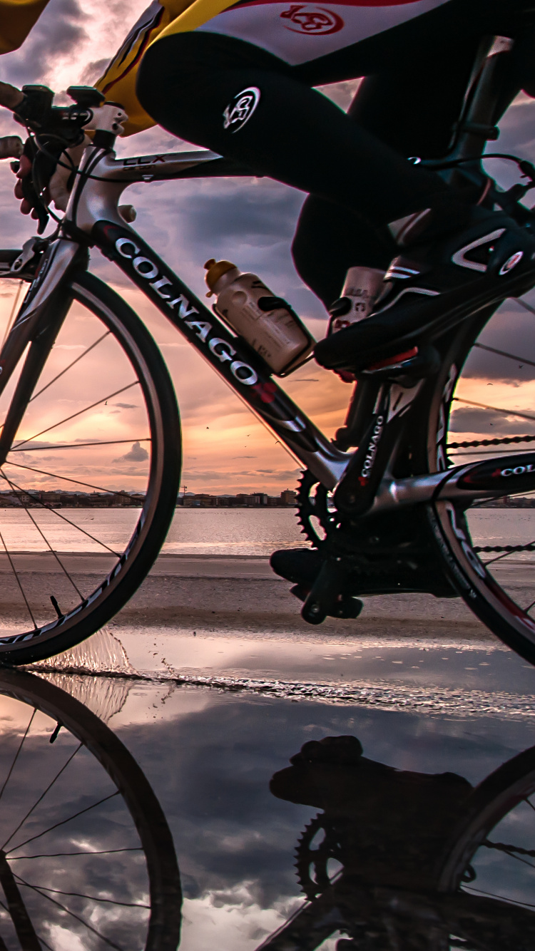 Schwarz-Weiß-Fahrrad Auf Schneebedecktem Boden in Der Nähe Von Gewässern Tagsüber. Wallpaper in 750x1334 Resolution