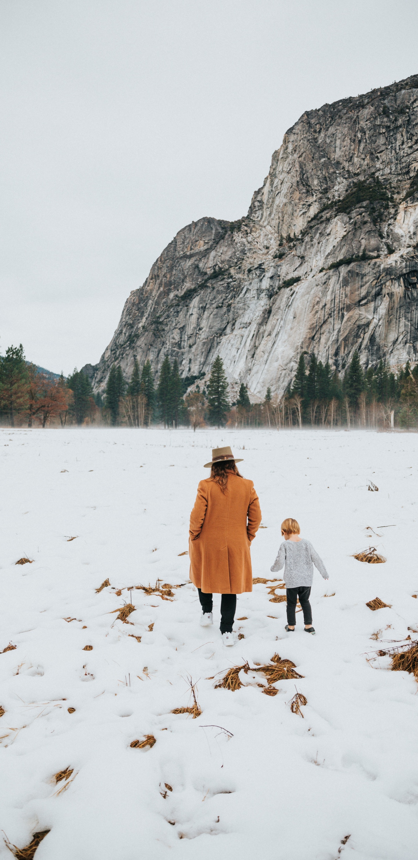 Mujer de Abrigo Marrón Caminando Sobre Suelo Cubierto de Nieve Durante el Día. Wallpaper in 1440x2960 Resolution