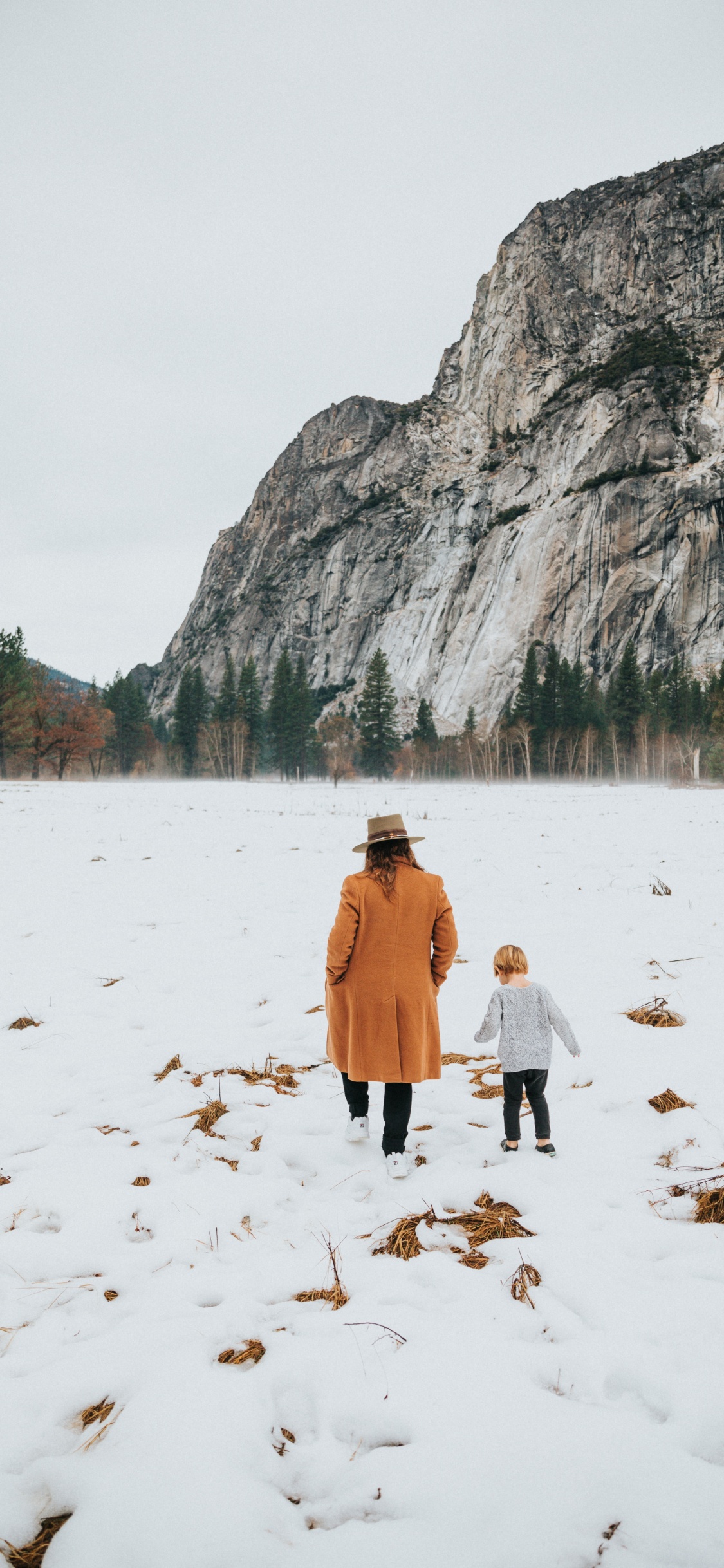 Femme en Manteau Marron Marchant Sur un Sol Couvert de Neige Pendant la Journée. Wallpaper in 1125x2436 Resolution