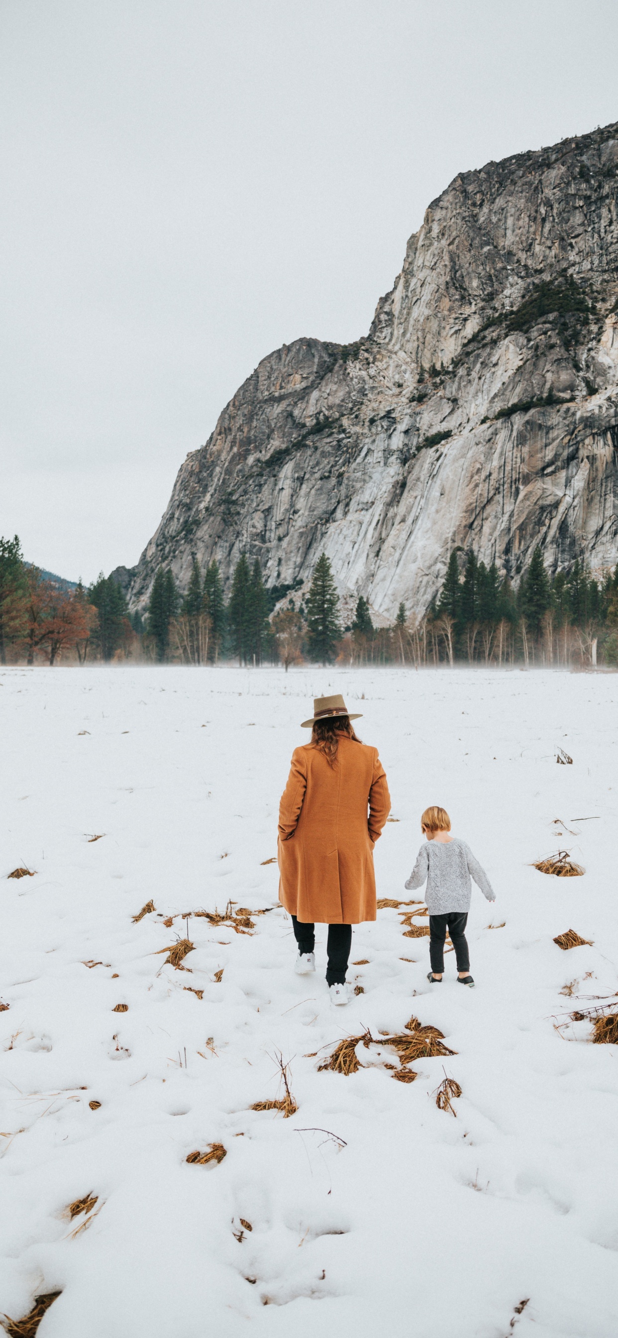 Femme en Manteau Marron Marchant Sur un Sol Couvert de Neige Pendant la Journée. Wallpaper in 1242x2688 Resolution