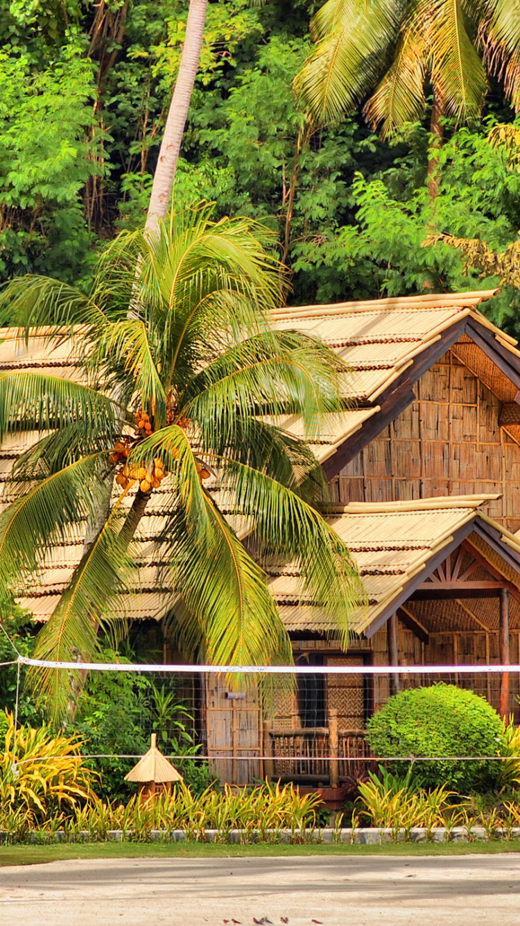 Casa de Madera Marrón Cerca de la Palmera Durante el Día. Wallpaper in 750x1334 Resolution