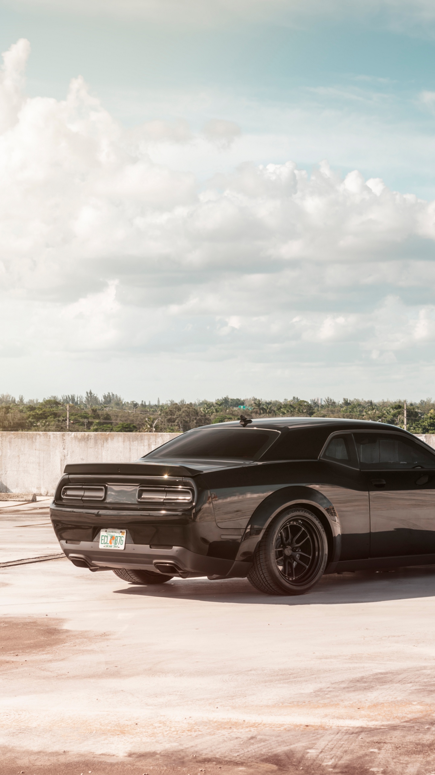 Black Coupe Parked Beside Gray Wooden Fence During Daytime. Wallpaper in 1440x2560 Resolution