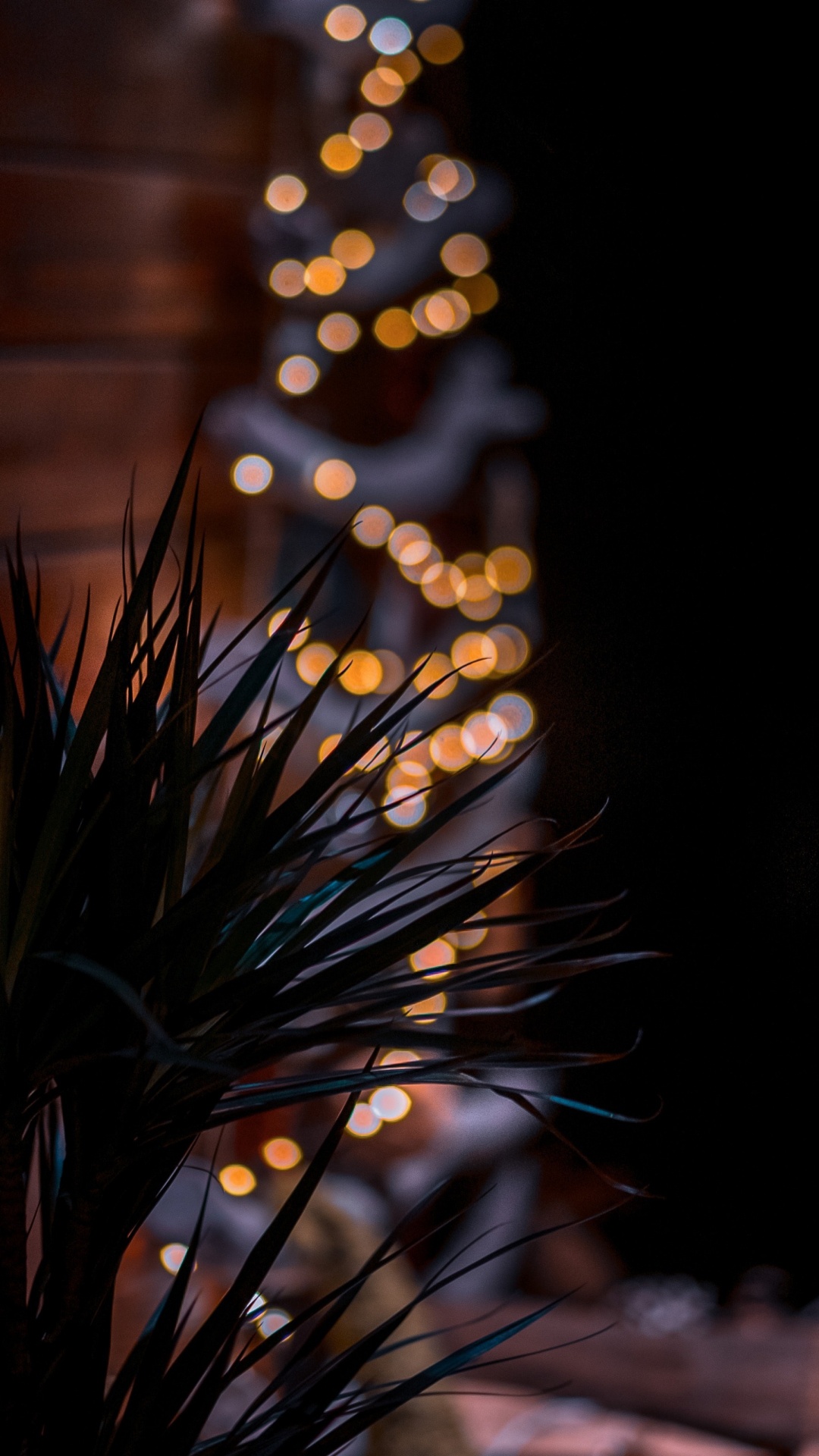 Flora, Serraneando, Plant, Twig, Wood. Wallpaper in 1080x1920 Resolution