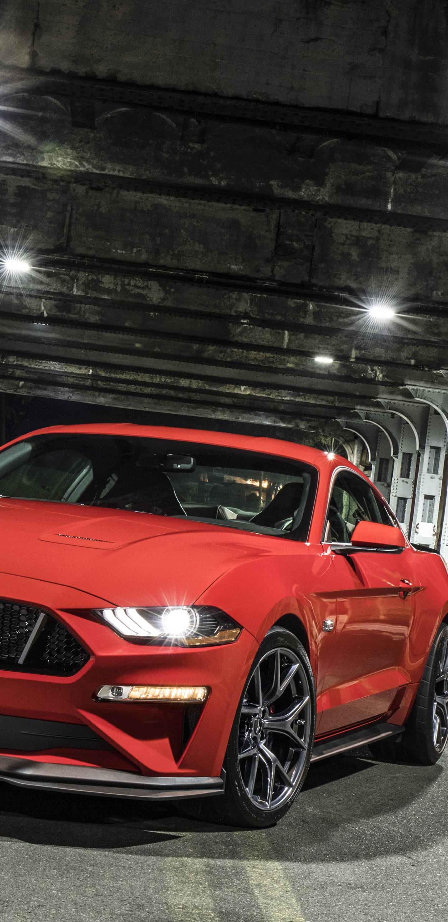 小马车, 福特gt, 福特, 谢尔比野马, 雪佛兰camaro 壁纸 1440x2960 允许