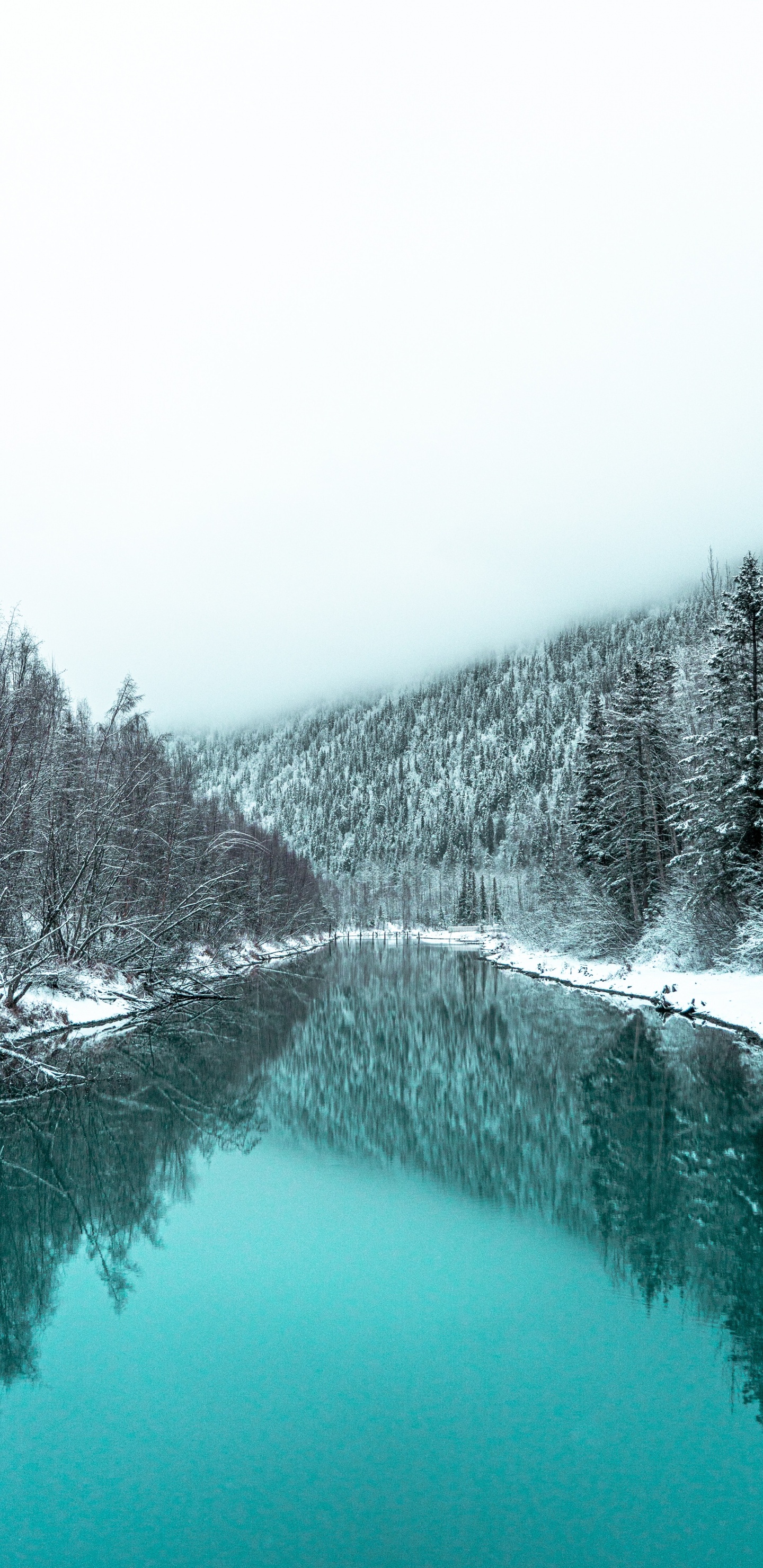 Reflexion, Winter, Himmel, Wasserressourcen, Wasser. Wallpaper in 1440x2960 Resolution