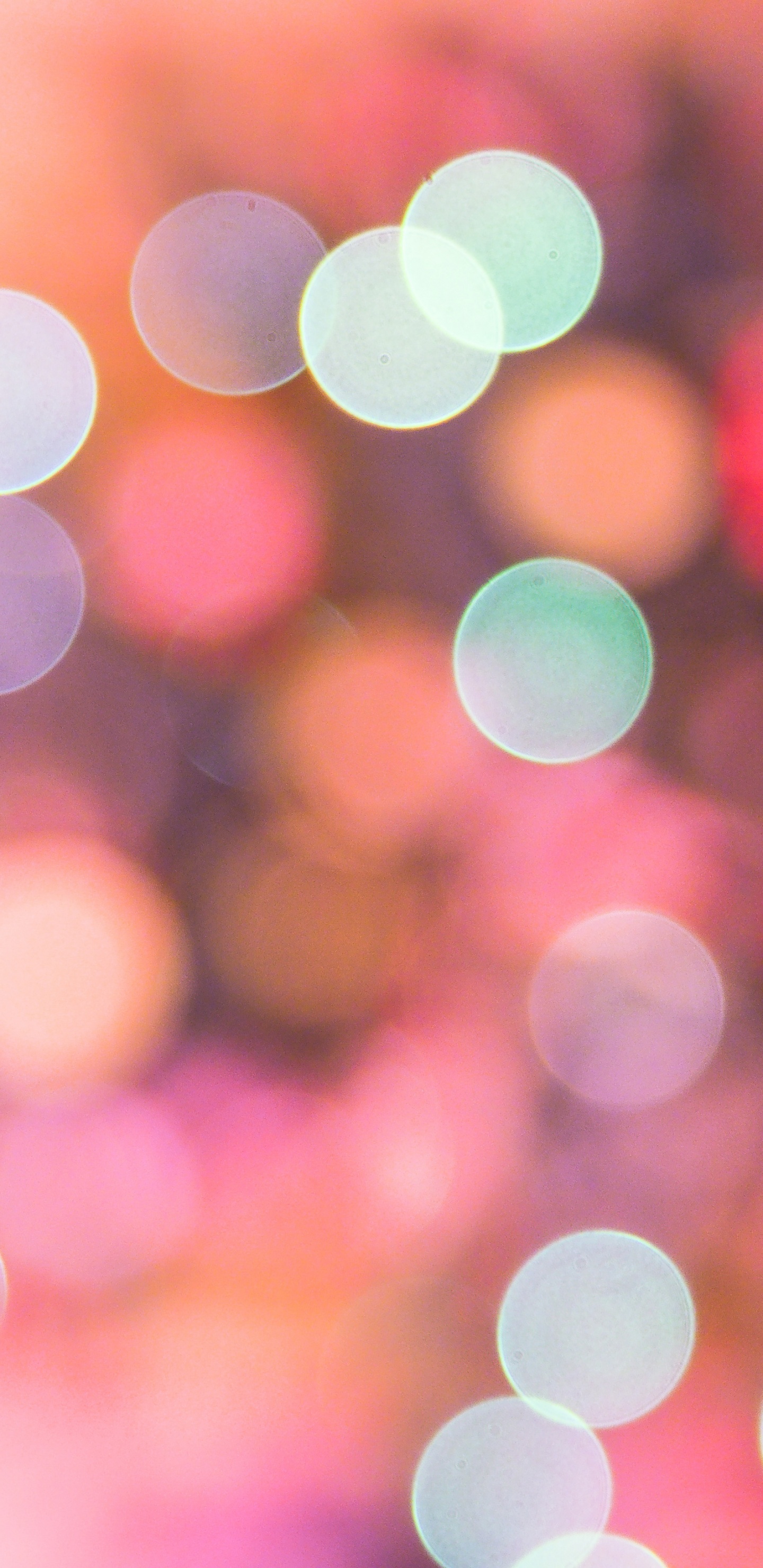 Lumières Bokeh Bleues et Blanches. Wallpaper in 1440x2960 Resolution