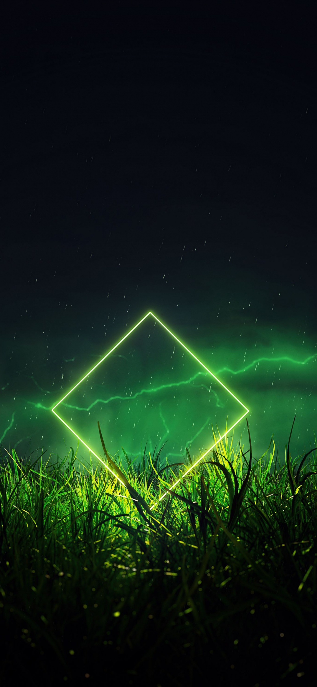 Naturaleza, Aurora, Verde, Paisaje Natural, Planta Terrestre. Wallpaper in 1242x2688 Resolution