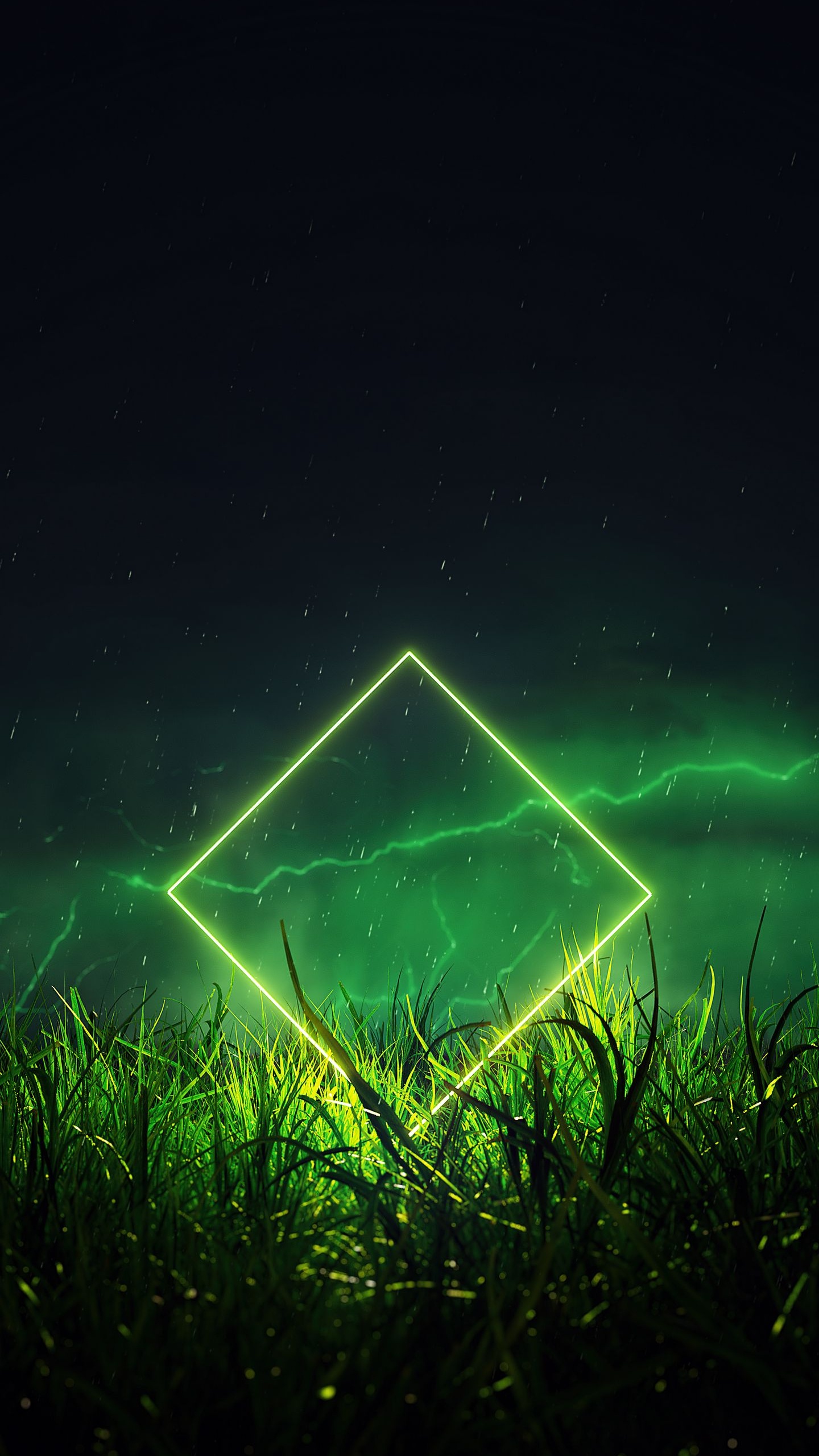 Nature, Aurora, Green, Paysage Naturel, Plante Terrestre. Wallpaper in 1440x2560 Resolution