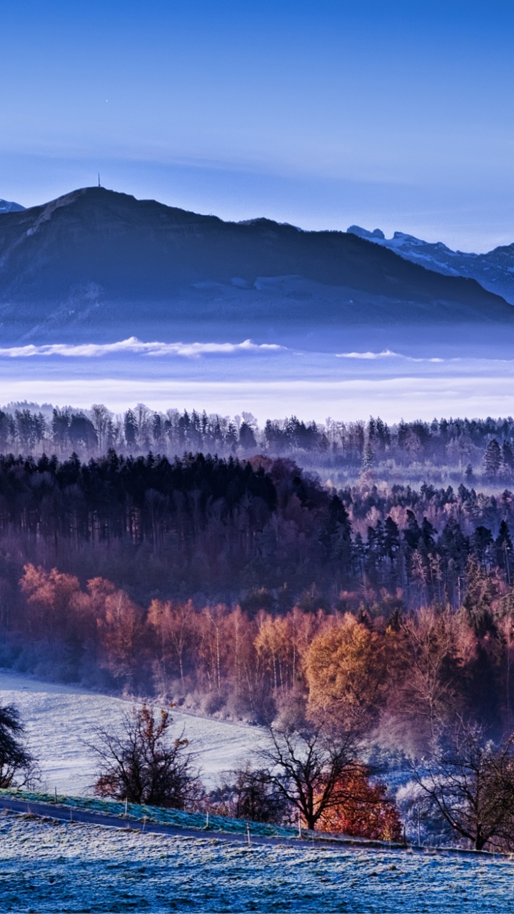 Braune Bäume in Der Nähe Des Sees Unter Blauem Himmel Tagsüber. Wallpaper in 720x1280 Resolution