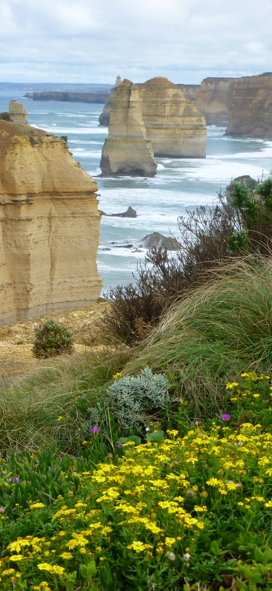 Yellow Flower Near Brown Rock Formation and Body of Water During Daytime. Wallpaper in 1125x2436 Resolution