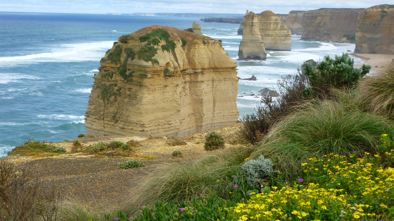 Yellow Flower Near Brown Rock Formation and Body of Water During Daytime. Wallpaper in 1280x720 Resolution