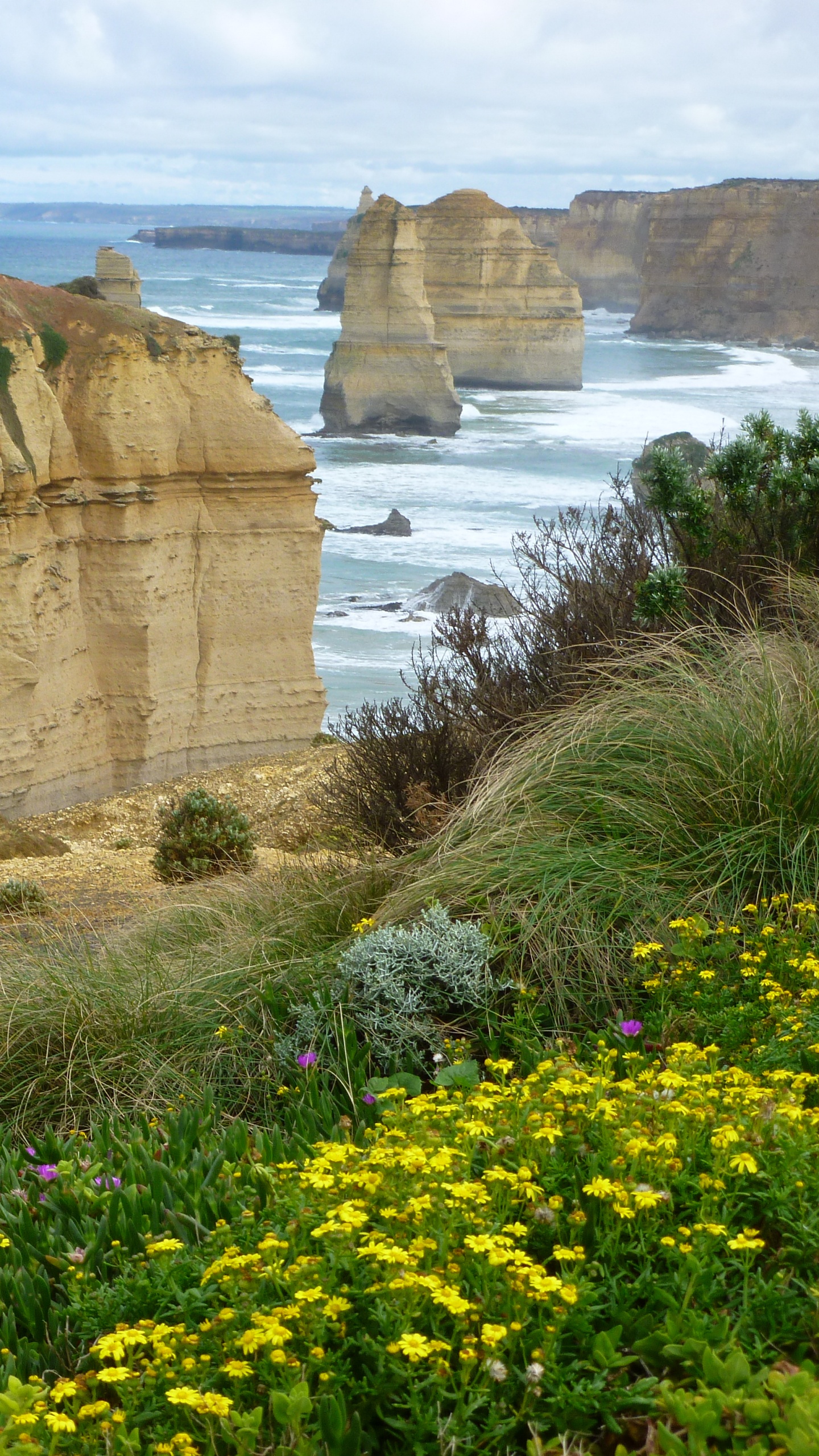 Yellow Flower Near Brown Rock Formation and Body of Water During Daytime. Wallpaper in 1440x2560 Resolution