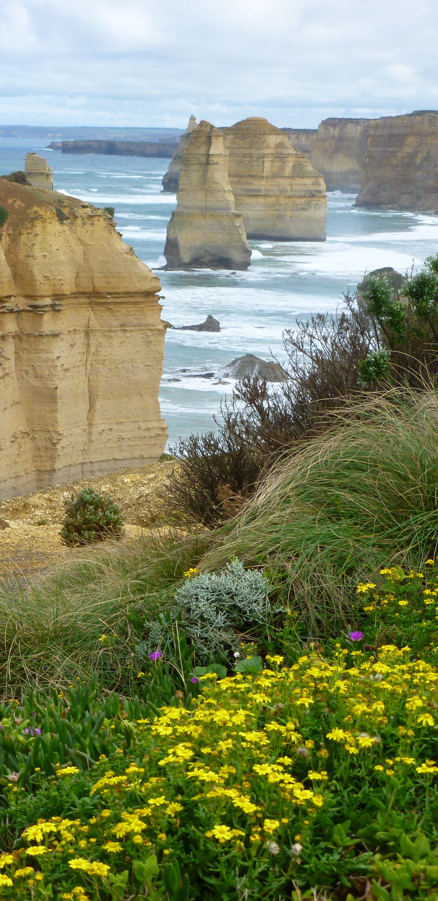 Yellow Flower Near Brown Rock Formation and Body of Water During Daytime. Wallpaper in 1440x2960 Resolution