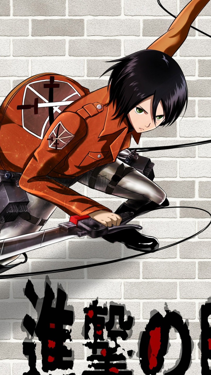 Mikasa Ackerman, Eren Yeager, Armin Arlert, Attaque Sur Titan, L'anime. Wallpaper in 720x1280 Resolution