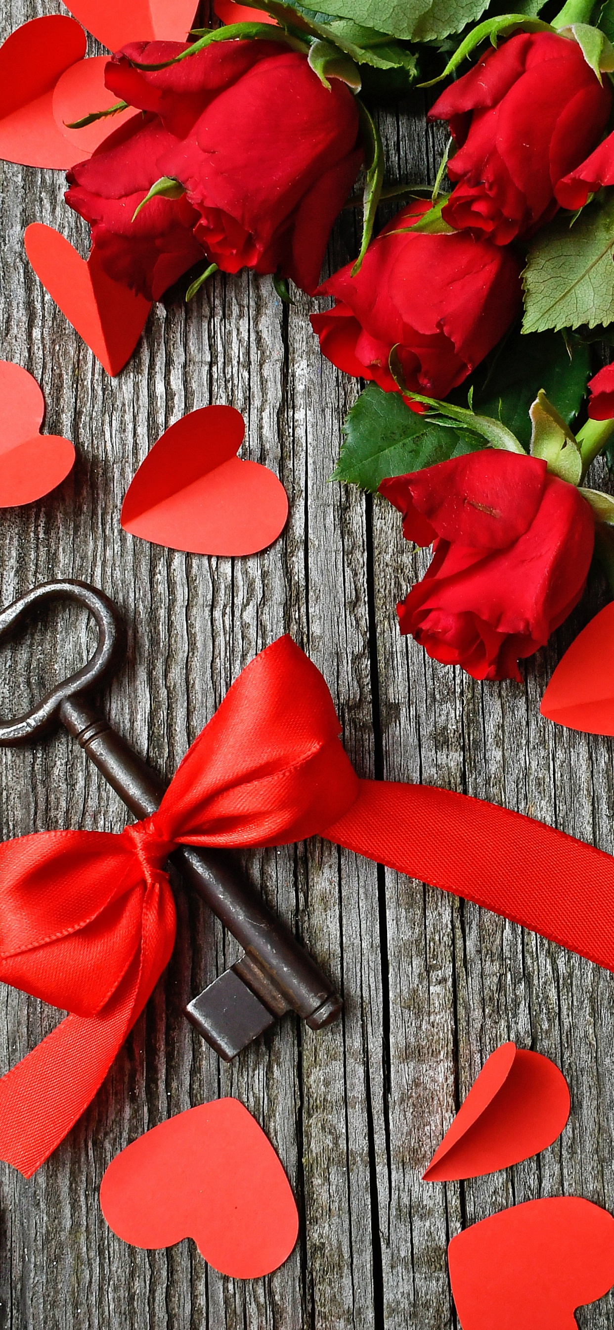 心脏, 红色的, 美食, 深红色的, 工厂 壁纸 1242x2688 允许