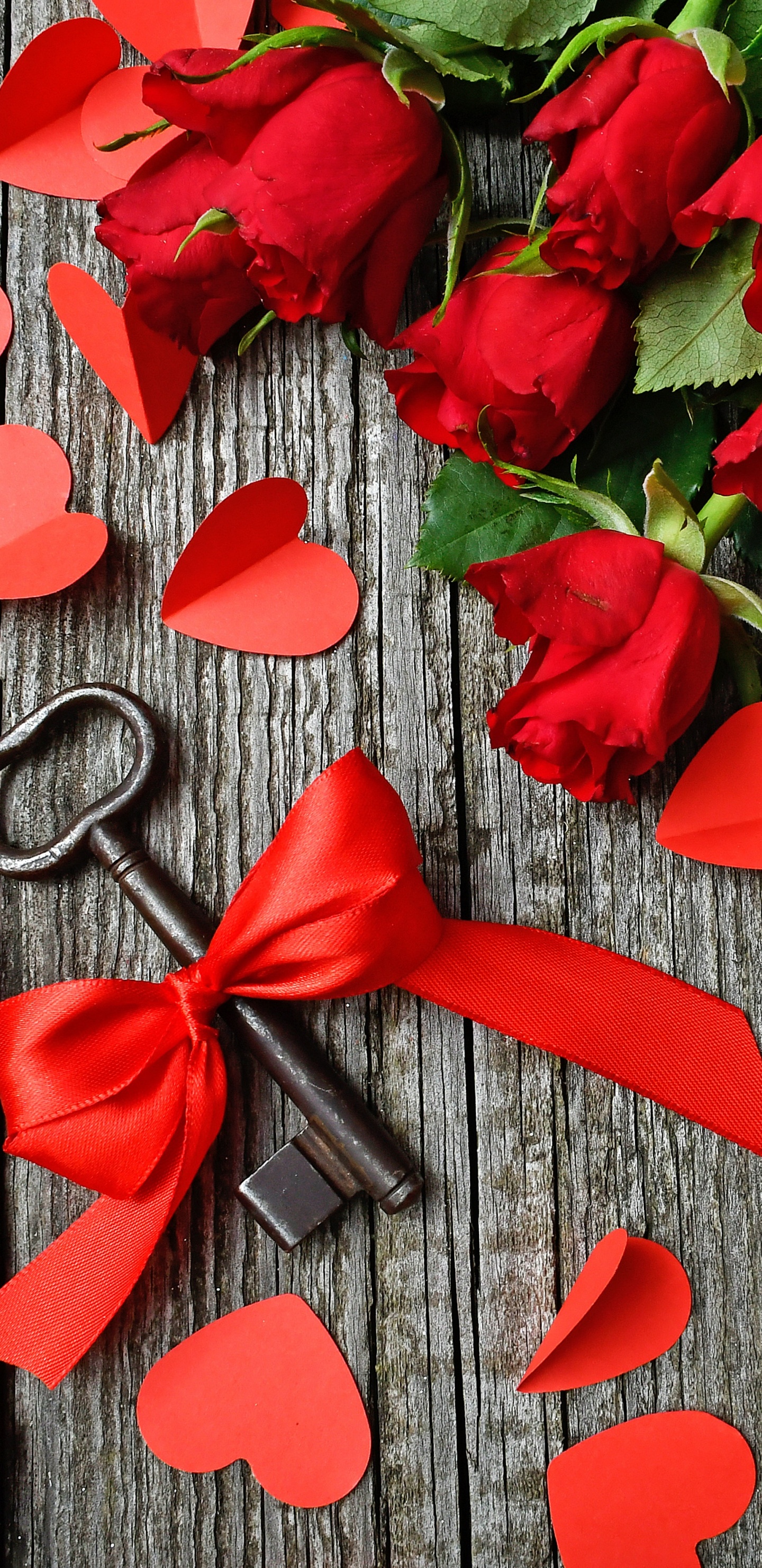 心脏, 红色的, 美食, 深红色的, 工厂 壁纸 1440x2960 允许