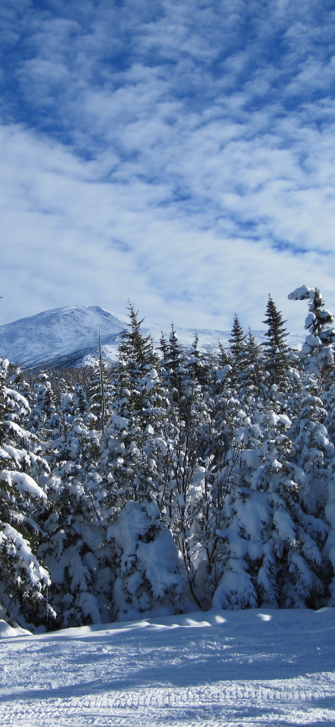 Árboles Cubiertos de Nieve y Montañas Durante el Día. Wallpaper in 1125x2436 Resolution