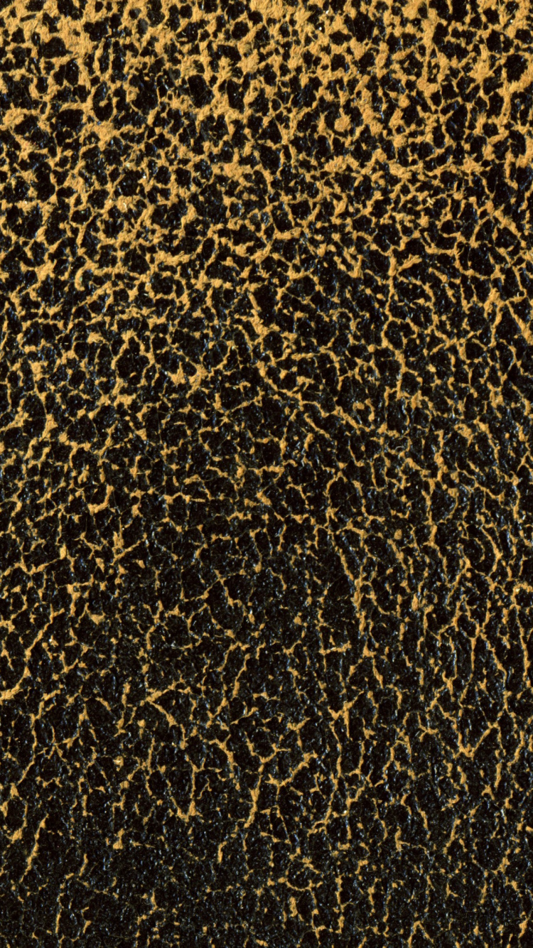 Black and Brown Leopard Pattern. Wallpaper in 750x1334 Resolution